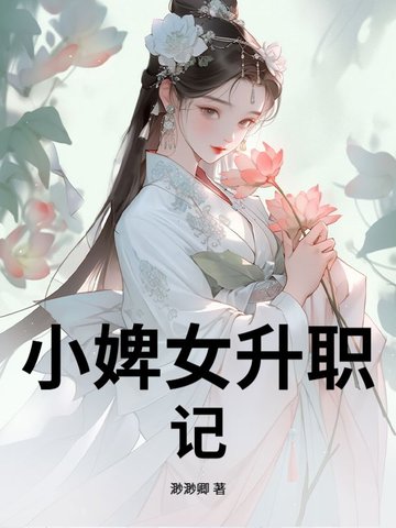 婢女升职记下载